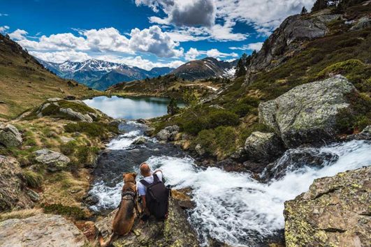 Pyrenees