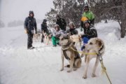 Dog sledding in Andorra