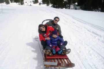 Dog sled in Andorra