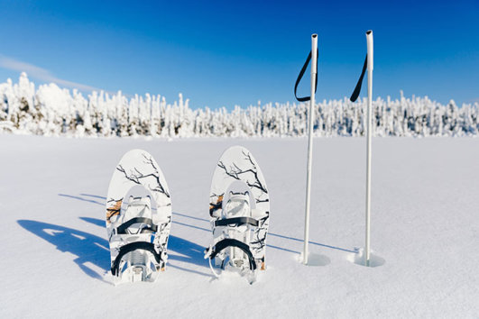 Snow Shoes in Spain