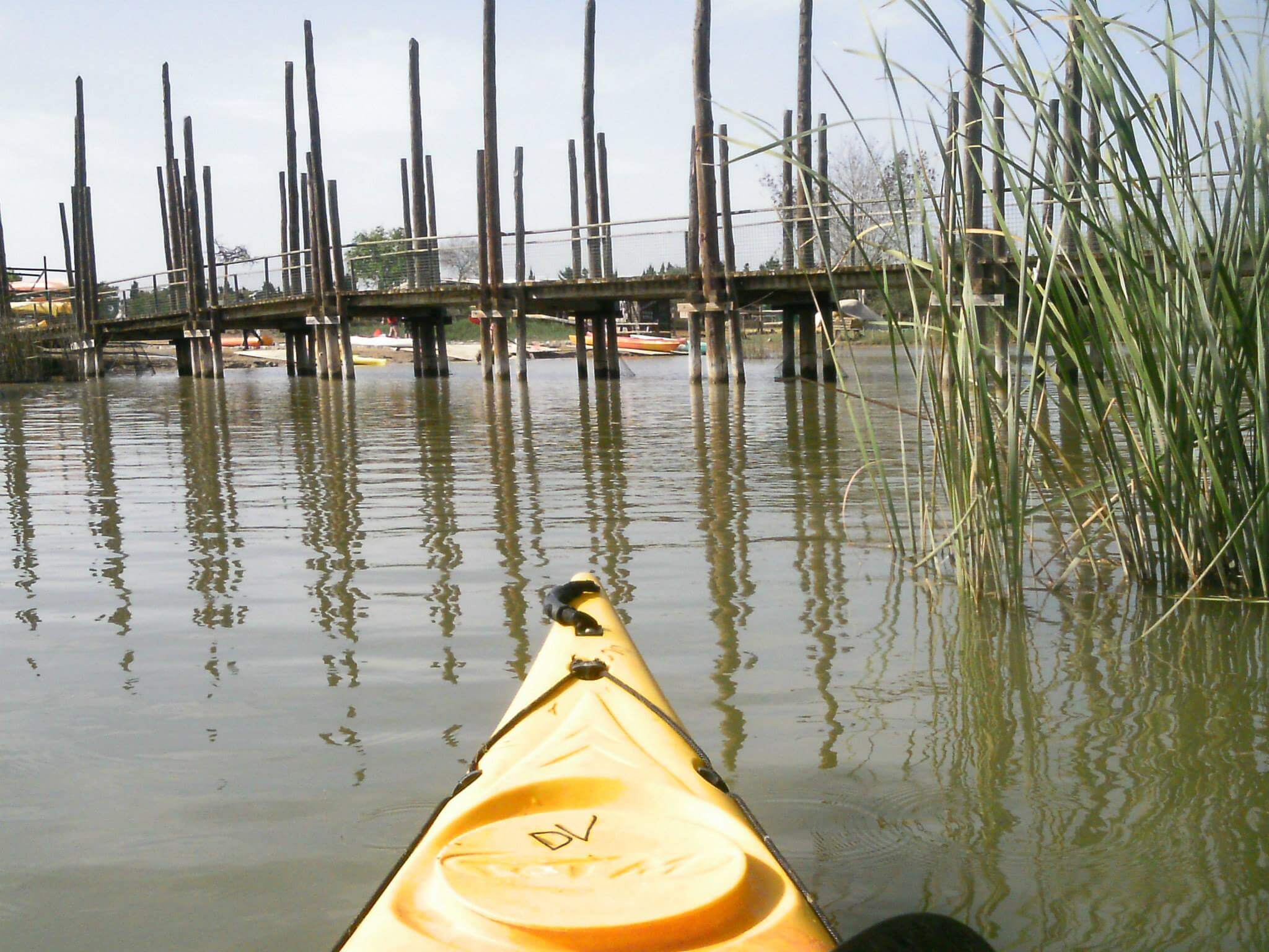 Kayak tour in Ebro land