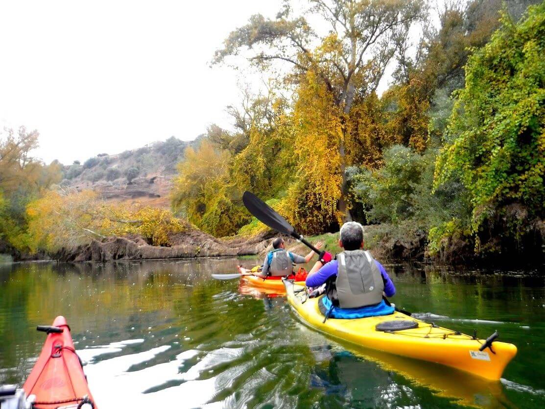 Offer of kayak and Adventure Park